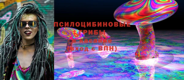 ECSTASY Белокуриха