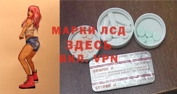 ECSTASY Белокуриха