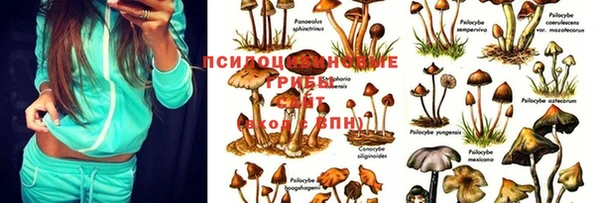 мет Беломорск