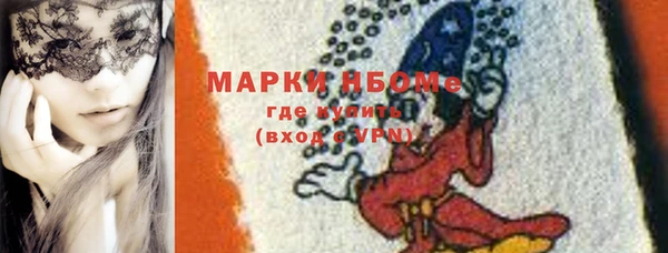 индика Покачи
