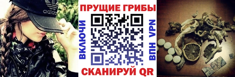 Псилоцибиновые грибы мухоморы  маркетплейс телеграм  Горячеводский 